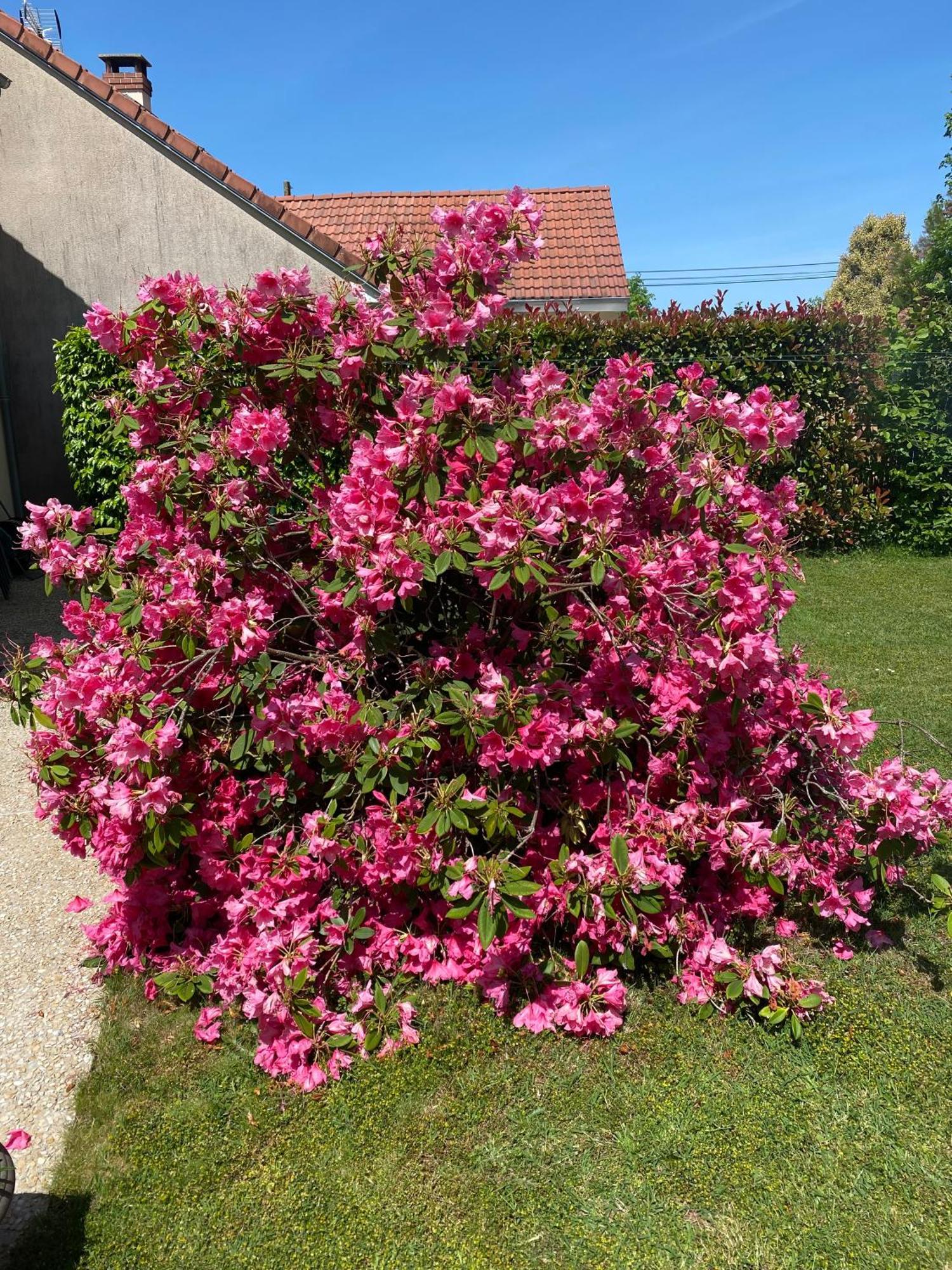 Le Petitepinay Bed and Breakfast Moitron-sur-Sarthe Εξωτερικό φωτογραφία